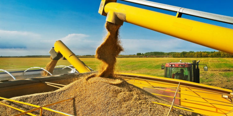 Ungaria extinde interdicţia asupra importurilor din Ucraina. Pe lângă cereale, lista e completată de făină, miere, ulei, carne