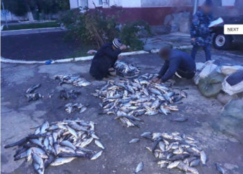 Amenzi aspre pentru pescuit ilegal la Cahul