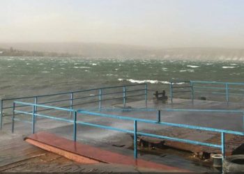 Приостановлена работа паромной переправы в населенном пункте Моловата | VIDEO