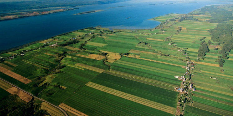 Mai mulți români au murit în timp ce încercau să intre ilegal în Statele Unite