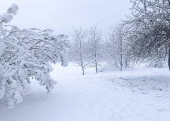 Codul galben de îngheț în nordul țării a fost prelungit până pe 8 aprilie. Prognozele meteorologilor pentru zilele următoare | VIDEO