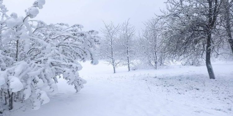 Codul galben de îngheț în nordul țării a fost prelungit până pe 8 aprilie. Prognozele meteorologilor pentru zilele următoare | VIDEO