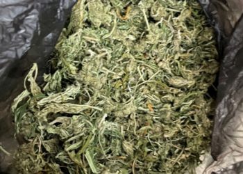 Percheziții în nordul țării într-un dosar de trafic de droguri. Au fost ridicate droguri de peste o sută de mii de lei