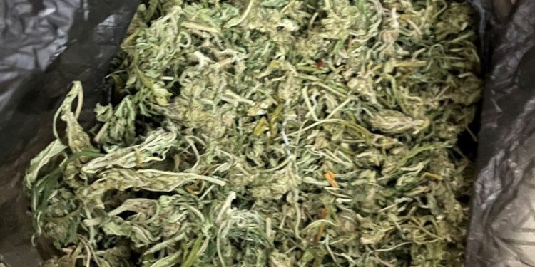 Percheziții în nordul țării într-un dosar de trafic de droguri. Au fost ridicate droguri de peste o sută de mii de lei