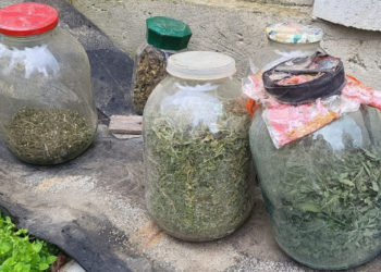 Afacere cu droguri, deconspirată de polițiști. Au fost ridicate droguri în valoare de aproape 500 de mii de lei