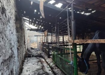 Неравнодушие к чужой беде: Десятки человек оказавшие помощь конно-спортивной школе в Бачой, где огонь уничтожил не только конюшню, но корм для животных и все снаряжение | VIDEO