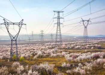 Уточнения Министрества энергетики в связи с массовами отключениями электричества в Молдове | VIDEO