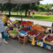 В Кишиневе на выходных откроются ярмарки местных производителей