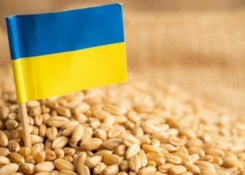 După circa 6 ore de discuții, ședința CC, unde s-a examinat constituționalitatea Partidului „ȘOR” a fost amânată. Care este motivul?