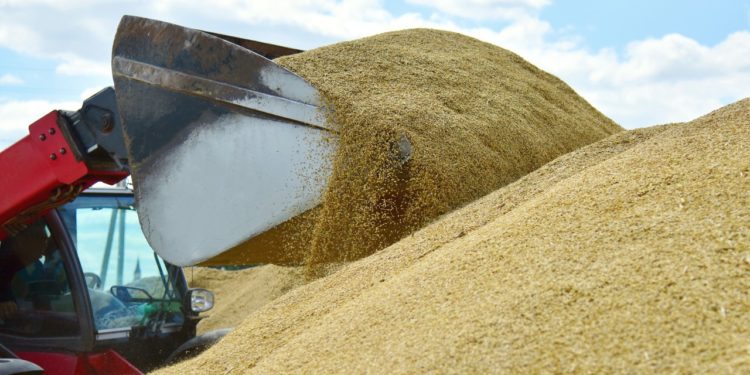 Ucraina a pregătit un decret de impunere a restricțiilor de import împotriva R. Moldova. Explicațiile viceministrului Dezvoltării Economice | VIDEO