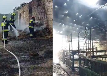 „Era foarte mult fum, nu vedeam, mergeam pe întuneric ca să salvăm animalele”. Detalii exclusive, oferite de antrenoarea de hipism despre incendiul care le-a distrus grajdul