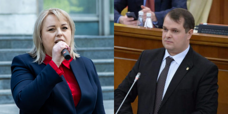 Președintele Partidului „Renaștere-Vozrojdenie” i-a invitat în rândurile sale pe Irina Lozovan și Alexandr Nesterovschi
