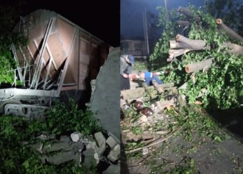 Trafic rutier paralizat, gard distrus și mai mulți copaci doborâți. Consecințele accidentului feroviar de la Bălți | VIDEO