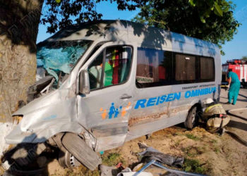 Accident cu cinci răniți în raionul Dubăsari. Vehiculul a intrat într-un copac