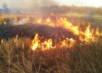 Желтый код: синоптики предупреждают о пожароопасности