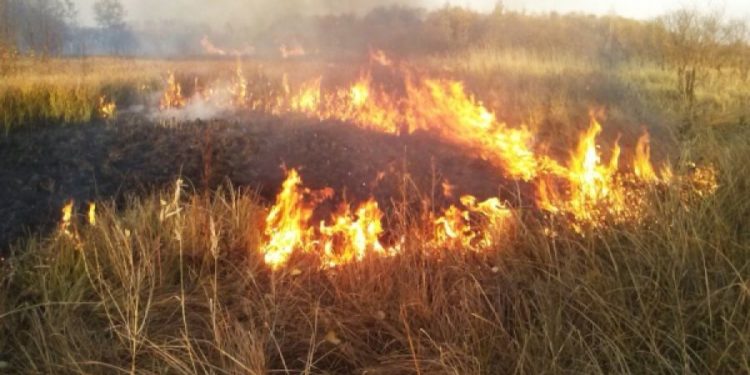 Желтый код: синоптики предупреждают о пожароопасности