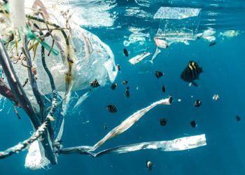 В ООН заявляют о критическом загрязнении пластиком