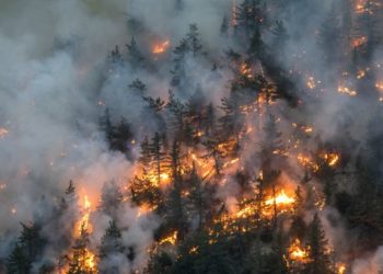 В Канаде не утихают лесные пожары: в стране не хватает спасателей