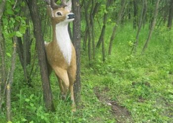 Hoțul de „cerbi” de la Căpriana. Poliția l-a prins pe cel care a furat figura de la intrarea în sat. Explicația bărbatului