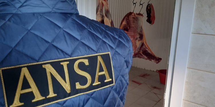 Сотрудники ANSA проведут неожиданные проверки на фермах и скотобойнях