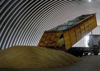 Румыния будет просить ЕС продлить ограничения украинского агроимпорта до конца года