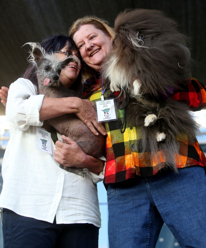 Povestea extraordinară a lui Scooter, desemnat „cel mai urât câine din lume”. Imaginile unui concurs inedit și cu mesaj puternic | FOTO