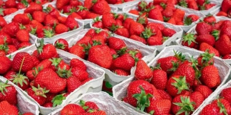 Клубника в Молдове существенно подешевела: в чем причина и как долго это продлится?