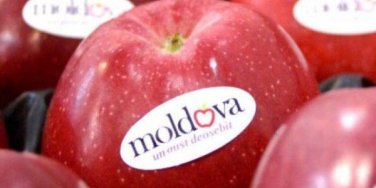 Agricultorii moldoveni își vor putea exporta produsele în patru țări UE fără a plăti tarife vamale | VIDEO