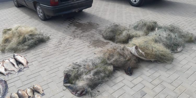 Circa 40 kg de pește, prins ilegal în apele de frontieră