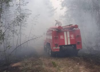 В Казахстане погибли 14 человек из-за природного пожара на востоке страны
