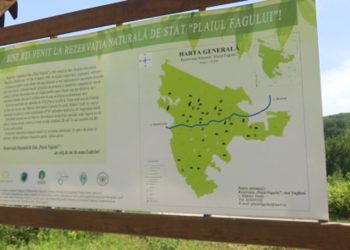 Bombă de aproximativ 100 de kilograme, descoperită pe teritoriul Rezervației „Plaiul Fagului”. Ce spune poliția | VIDEO