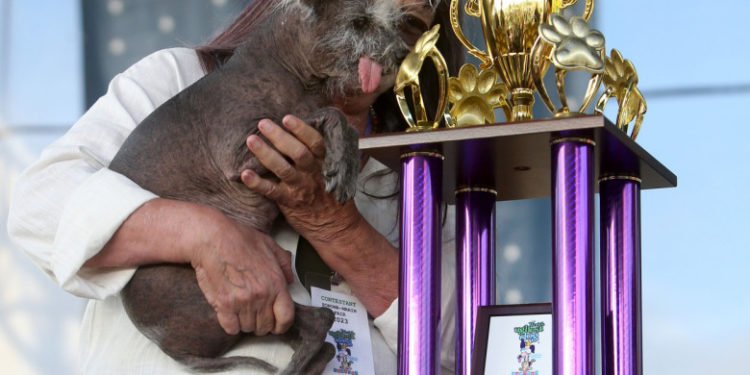 Povestea extraordinară a lui Scooter, desemnat „cel mai urât câine din lume”. Imaginile unui concurs inedit și cu mesaj puternic | FOTO