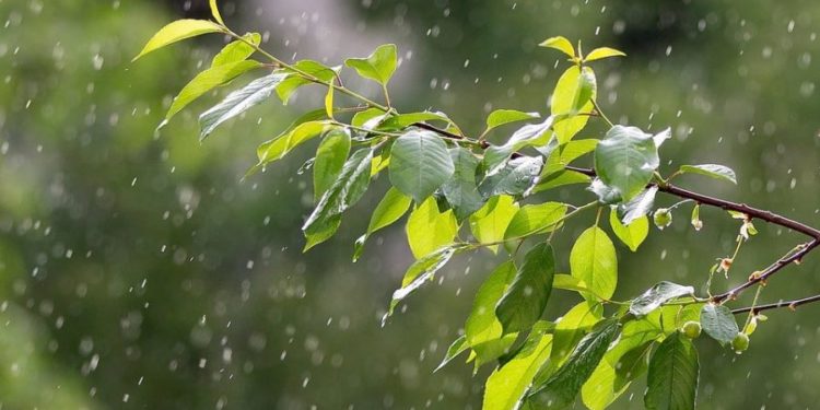 Se răcorește vremea și revin ploile, în weekend: Ce temperaturi vom avea astăzi