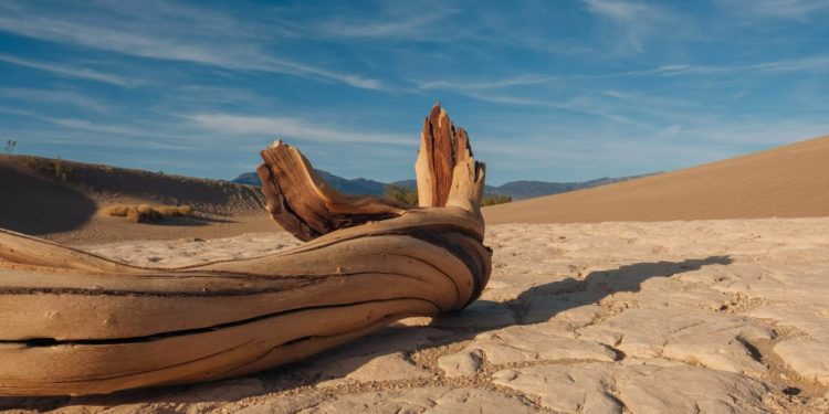 Температура в Долине Смерти близка к самой высокой в мировой истории
