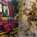 В Румынии рой пчел напал на трехлетнего ребенка. Врачи извлекли более 70 жал
