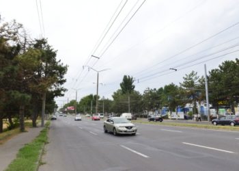 Неизвестные украли все кусты, недавно высаженные на столичной улице Каля Орхеюлуй