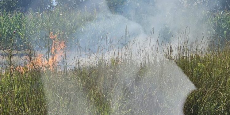 Природный пожар в Фалештах: горят сельхозугодья