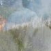 Природный пожар в Фалештах: горят сельхозугодья