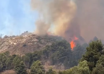 В Италии намерены объявить режим ЧС в связи с пожарами и ураганами