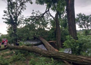 Сорванные крыши и уничтоженные сельхозугодья: какой ущерб нанесла стихия Молдове