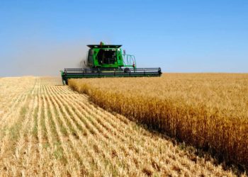 Местные производители нуждаются в поддержке: Эксперты предлагают способы преодоления сельскохозяйственного кризиса