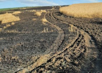 В Новоаненском районе пожар уничтожил более 20 гектаров ячменя и 30 гектаров пшеницы