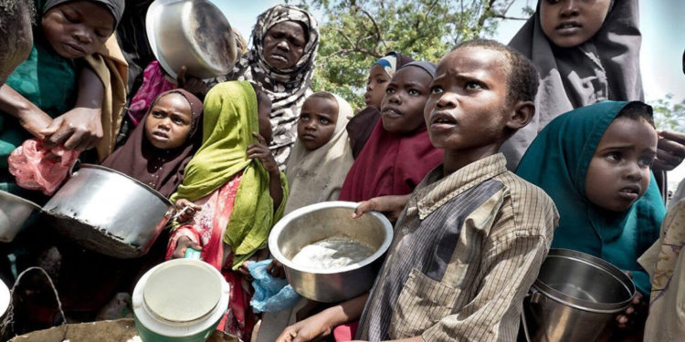 ООН: В мире голодают три четверти миллиарда человек