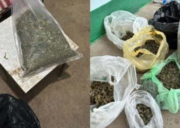 В Кантемирском районе правоохранители обнаружили наркотики на более чем миллион леев