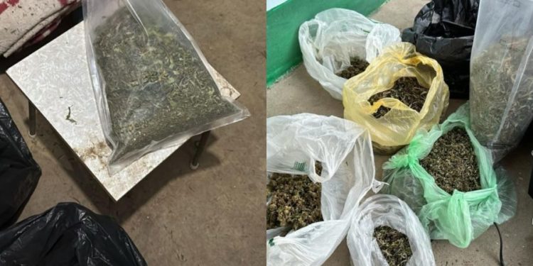 В Кантемирском районе правоохранители обнаружили наркотики на более чем миллион леев