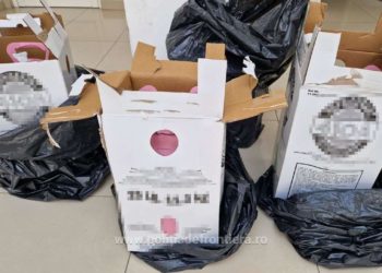 Moldovean reținut la hotarul român: Transporta recipiente cu substanțe periculoase