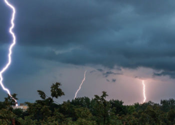 Prăpăd în mai multe localități din țară după ploaia de aseară: Copaci doborâți, drumuri blocate și localități rămase parțial sau total fără curent | VIDEO