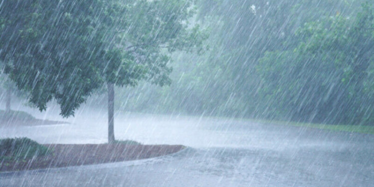 Ploaia a făcut stricăciuni în stânga Nistrului: În Camenca, apa a inundat drumuri, iar din cauza vântului, orașul a rămas fără curent | VIDEO