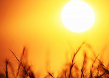 Cod galben de caniculă, cu temperaturi de până la 37 de grade Celsius. Specialiștii recomandă să nu ieşim afară în miezul zilei | VIDEO