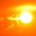 Urmează o săptămână de iad în Europa. Temperaturile vor urca până la 48 de grade Celsius